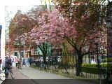 Amsterdam 010430_144.JPG (225835 bytes)