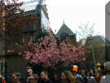 Amsterdam 010430_146.JPG (226229 bytes)