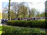Amsterdam 010430_184.JPG (213460 bytes)