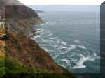Capetown 0008_035.JPG (201022 bytes)