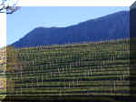 Capetown 0008_178.JPG (210503 bytes)