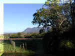 Capetown 0008_187.JPG (209168 bytes)