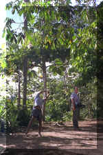 417_Ecuador_Jungle_Hut_04.jpg (119755 bytes)