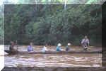 431_Ecuador_Jungle_Canoe_Ride_02.jpg (55064 bytes)