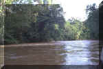 433_Ecuador_Jungle_Canoe_Ride_04.jpg (49615 bytes)