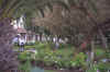 109_Ecuador_Day_1_Hacienda_Garden_05.jpg (63979 bytes)