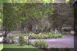 115_Ecuador_Day_1_Hacienda_Garden_06.jpg (57990 bytes)