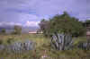 121_Ecuador_Day_1_Compound_Road_01.jpg (46473 bytes)