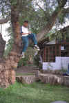 123_Ecuador_Day_1_Compound_Tree_and_Child_01.jpg (99087 bytes)