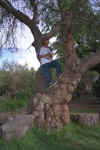 125_Ecuador_Day_1_Compound_Tree_and_Child_02.jpg (91692 bytes)