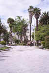 DCC 022 The Square.jpg (60010 bytes)