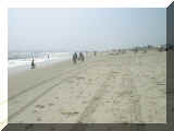 FI Beach 1999 015.JPG (49320 bytes)
