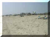 FI Beach 1999 017.JPG (52584 bytes)