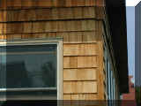 Fire Island 0008_006.JPG (357371 bytes)