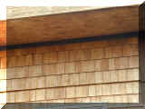 Fire Island 0008_009.JPG (379028 bytes)