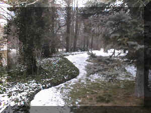 Long Island Winter 0001 Snow 003.JPG (58960 bytes)