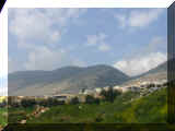Israel 0102_081.JPG (367853 bytes)