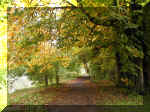 P0010 London Thames_021.JPG (224702 bytes)