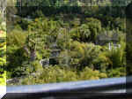 San Diego Zoo 0007_024.JPG (215193 bytes)