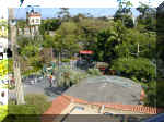 San Diego Zoo 0007_029.JPG (215876 bytes)
