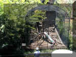 San Diego Zoo 0007_149.JPG (214526 bytes)