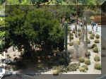 San Diego Zoo 0007_150.JPG (226903 bytes)