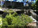 San Diego Zoo 0007_151.JPG (220163 bytes)