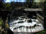 San Diego Zoo 0007_153.JPG (220975 bytes)