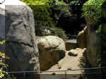 San Diego Zoo 0007_154.JPG (221832 bytes)