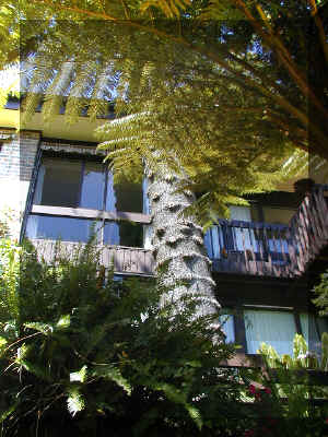 Sydney 0012_246.JPG (232383 bytes)