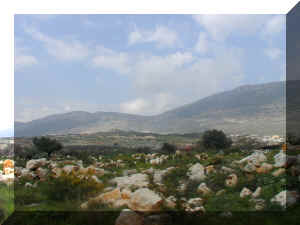Israel 0102_085.JPG (360835 bytes)